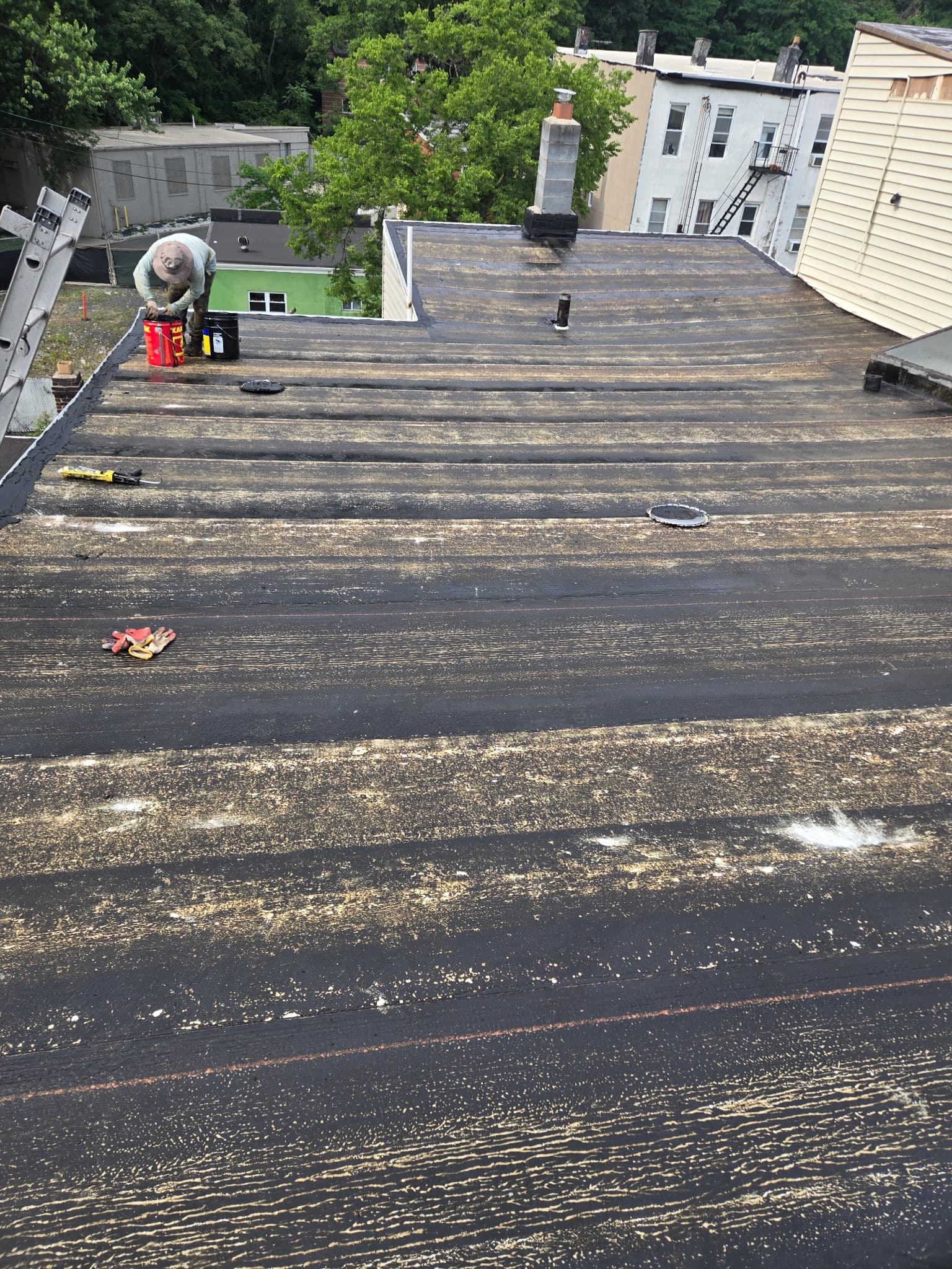 Algae and Moss on Your Roof: What Causes It and How to Treat It Safely